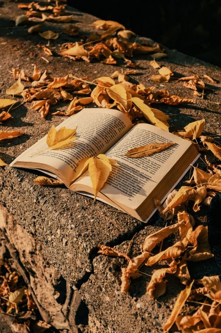 An open book surrounded by autumn leaves on a stone surface, creating a serene fall atmosphere.