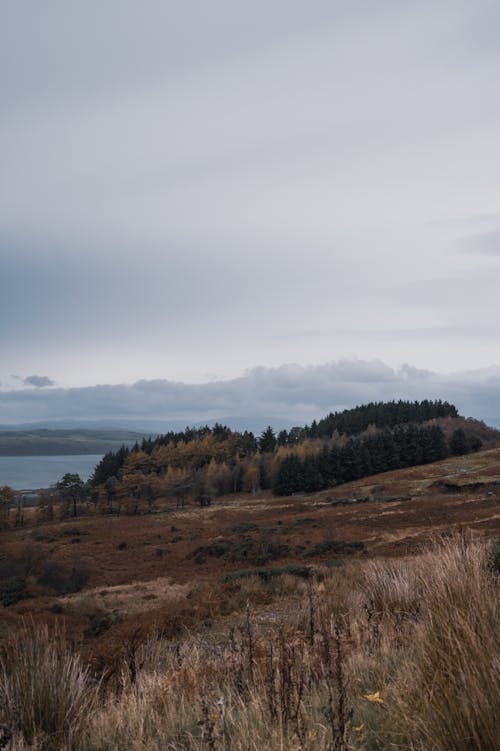 Gratis stockfoto met bergen, bewolkte lucht, fjord