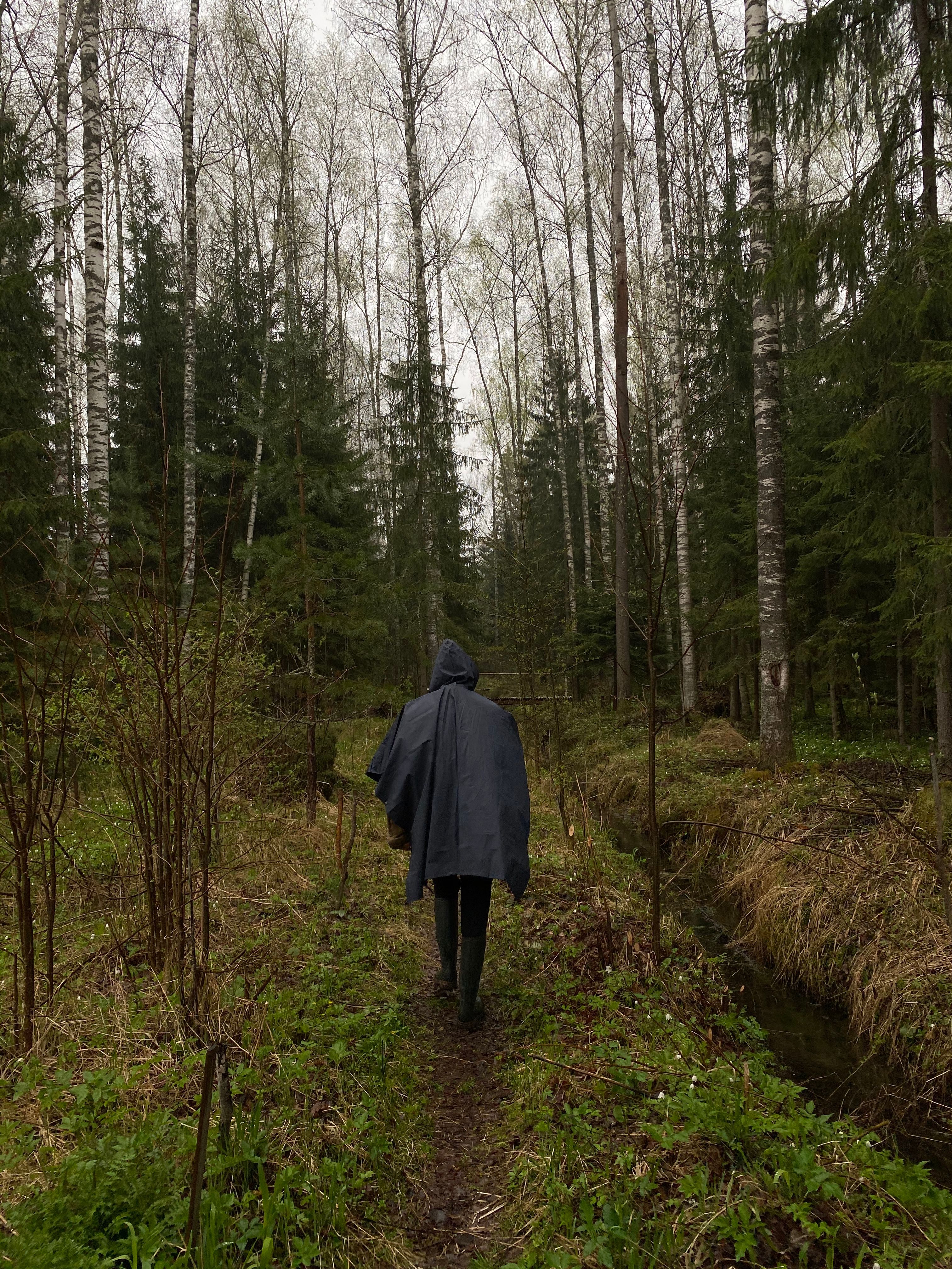 A lone hiker in a hooded cloak walks through a misty forest trail in Kimry, Russia.