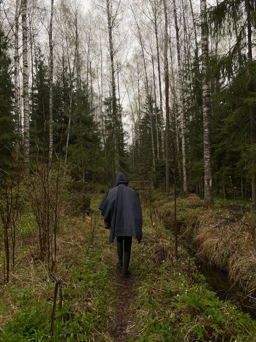 Person in Blue Hoodie Standing on Forest