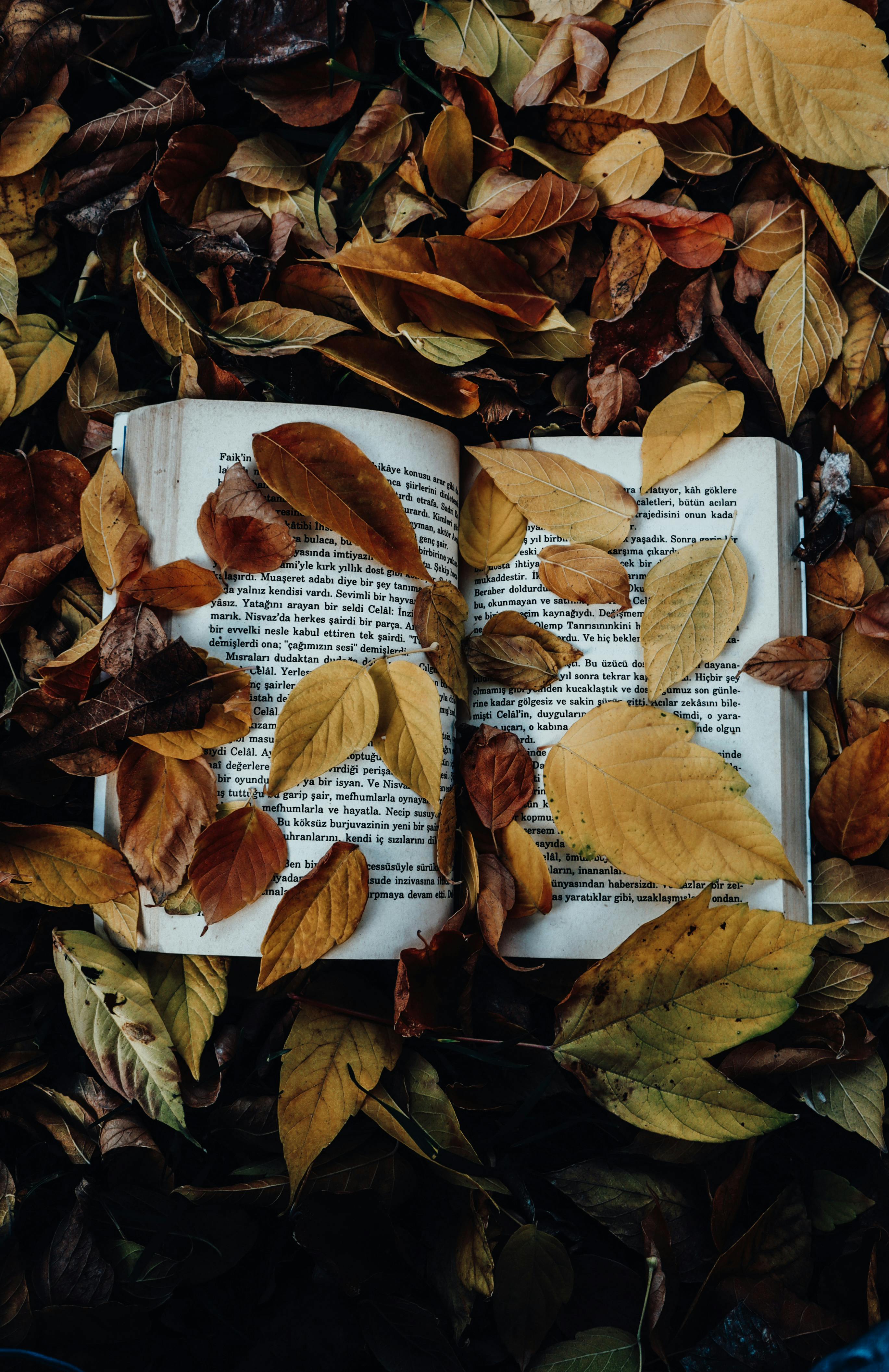 An open book resting among vibrant brown leaves, capturing the essence of fall.