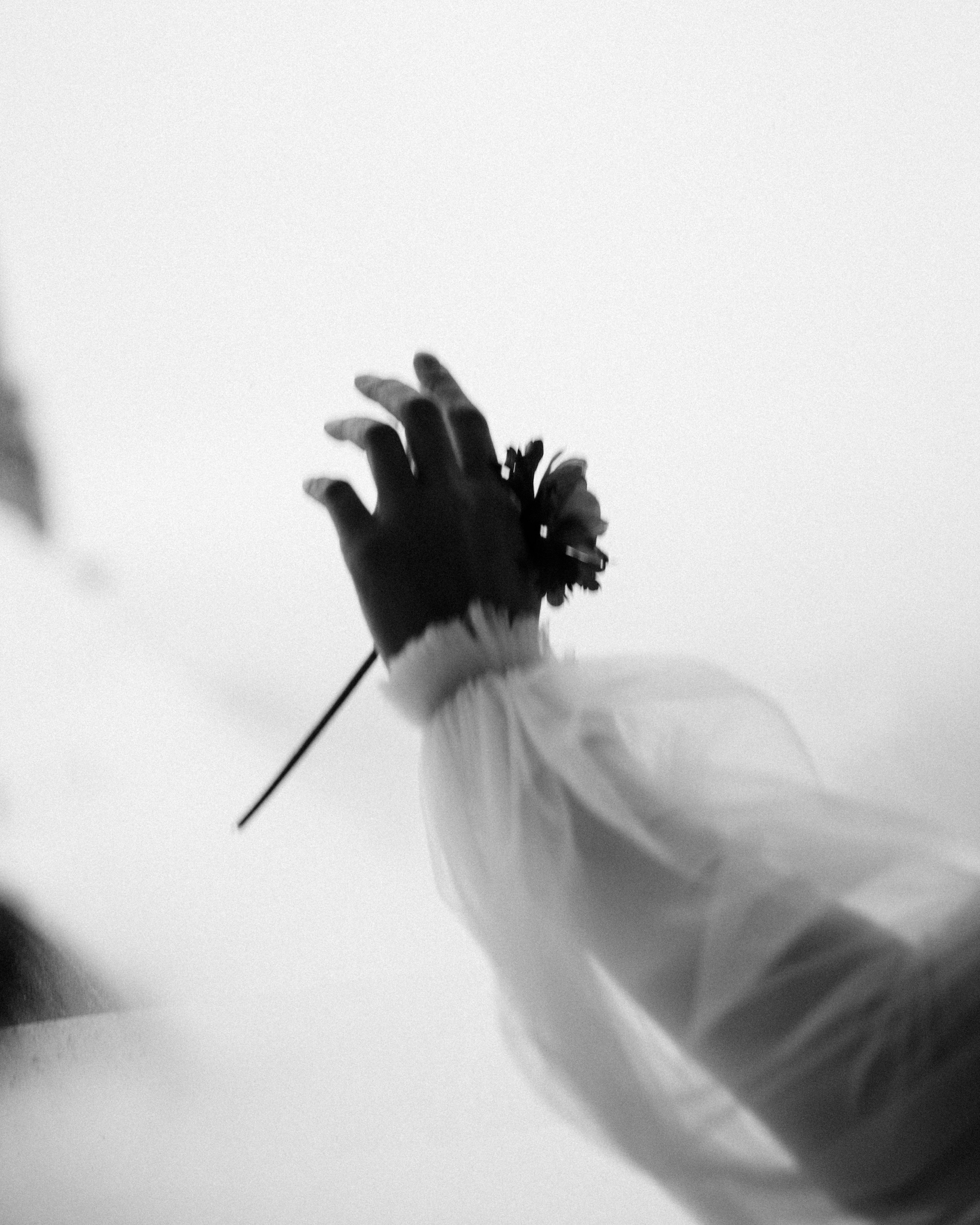 Elegant black and white photo of a hand holding a flower, evoking romance.