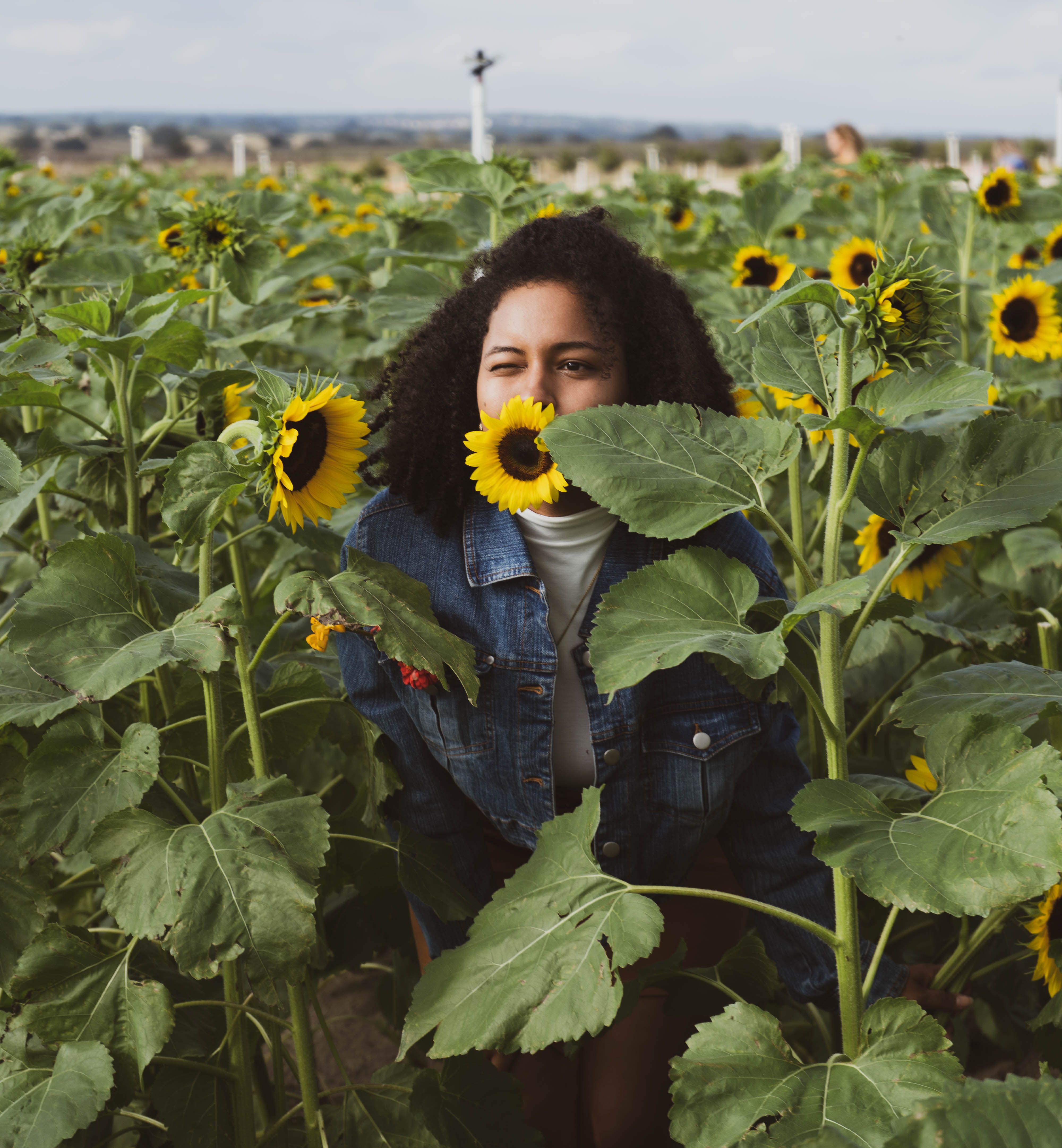 Woman in Denim Jacket Standing in a Sunflower Field · Free Stock Photo