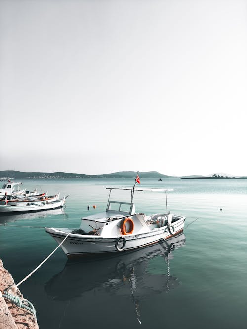 Foto profissional grátis de ancorado, barco, costa