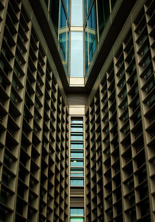 Facade of a Modern Building in City 