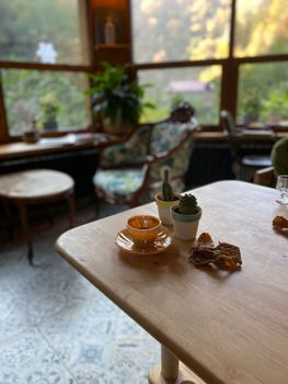 A warm, inviting cafe interior with plants, a cup, and fallen leaves on the table.
