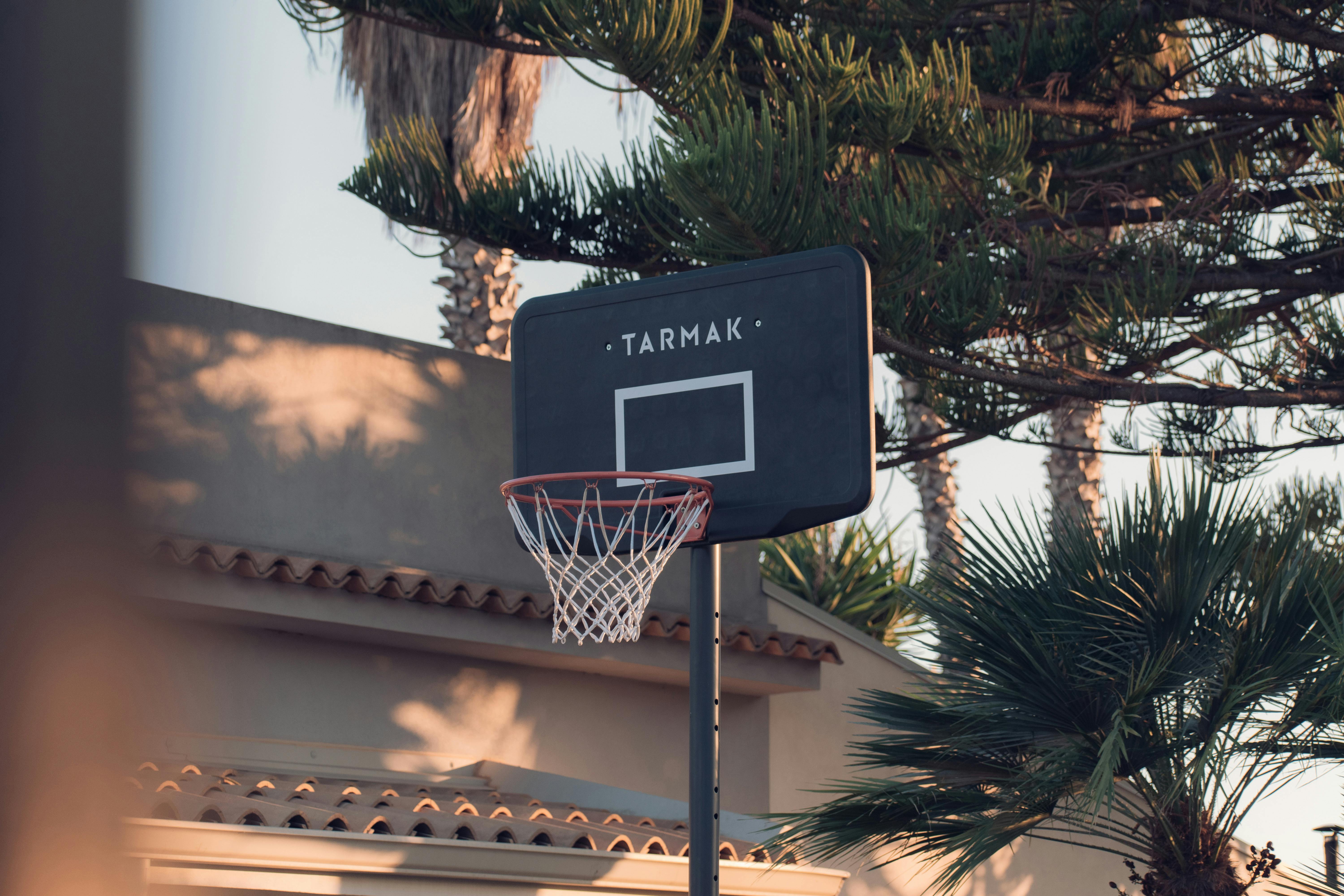 basketball hoop near green tree