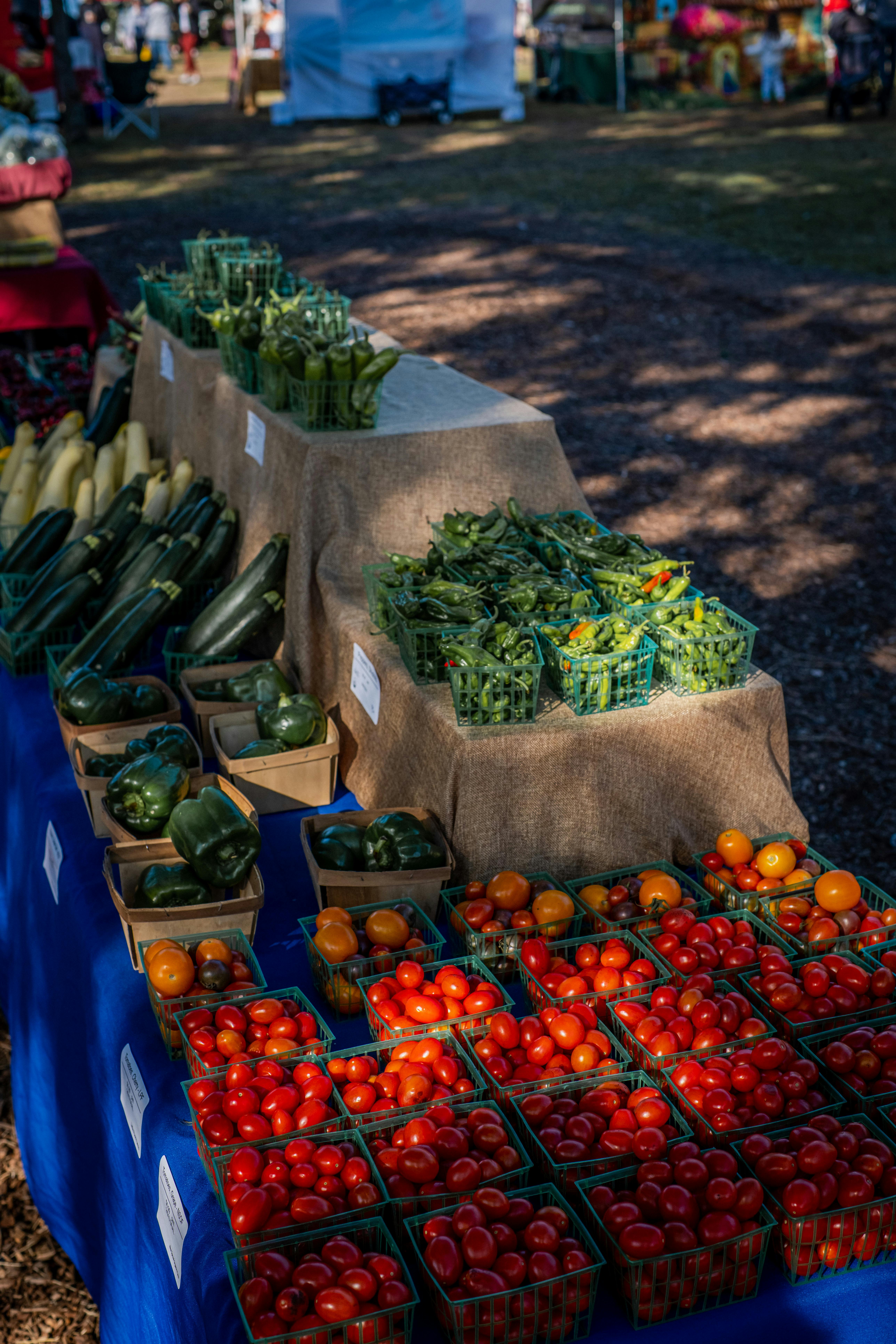 red and green fruits on blue plastic container