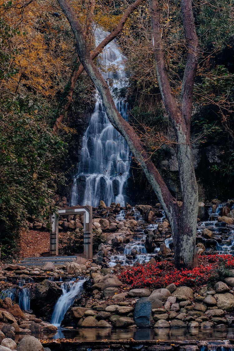 Beautiful Scenery Of Waterfalls In Forest