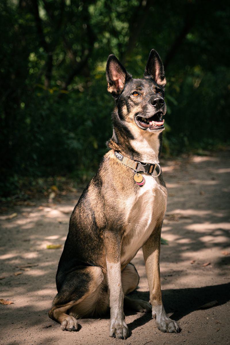 Ruby - photo 1