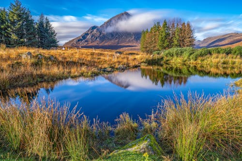 Gratis stockfoto met berg, blauwe lucht, bomen