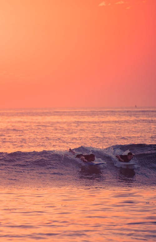 Two People Surfing During Sunset