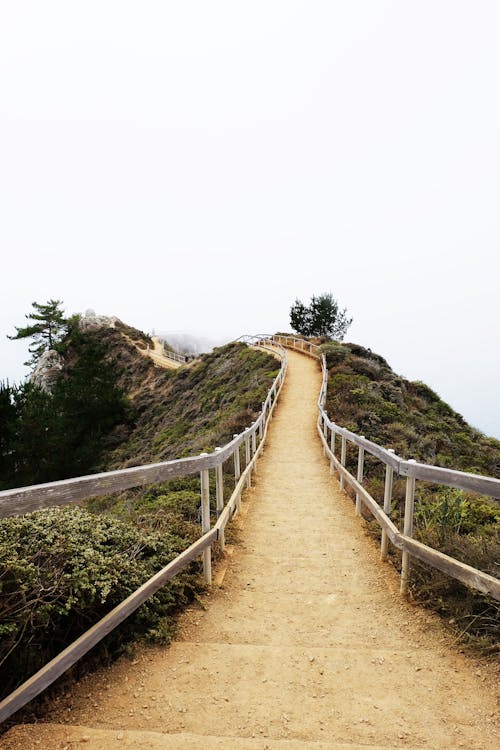 Fotos de stock gratuitas de camino, con niebla, mirador de la playa de muir