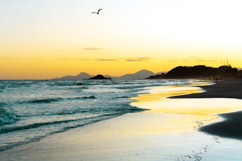 Beach during Sunset