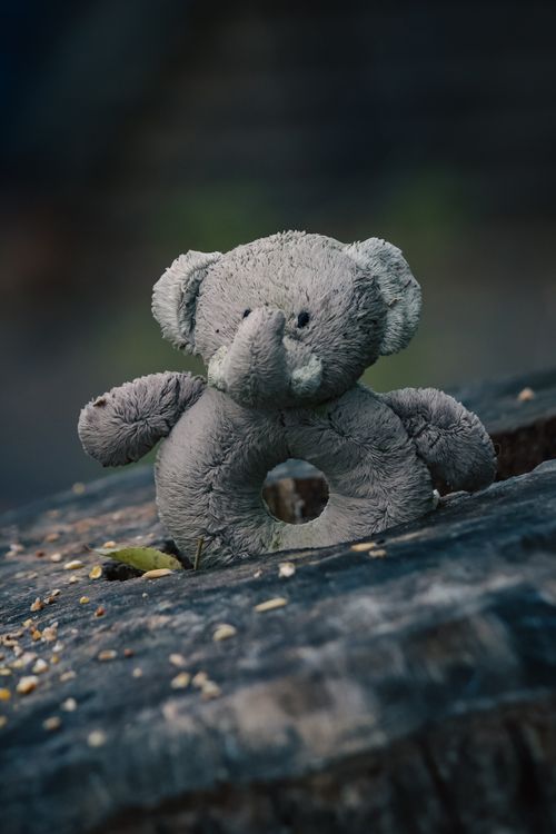 Free Gray plush elephant toy on a tree stump in a natural outdoor setting. Stock Photo
