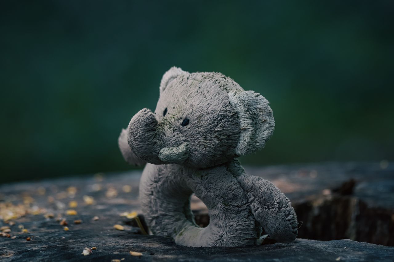 soft elephant plush toy sitting on a weathered tree stump outdoors