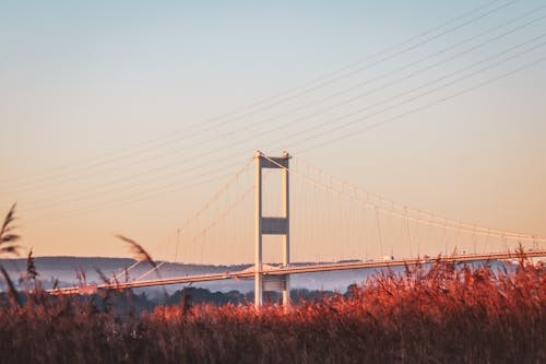 Gratis stockfoto met blauwe lucht, brug, bruin gras