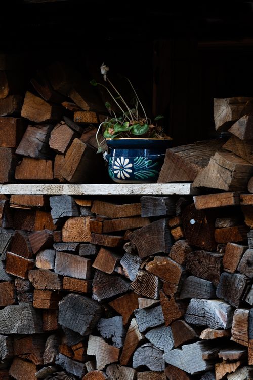 Free Stack of chopped firewood with a decorative potted plant on top. Stock Photo