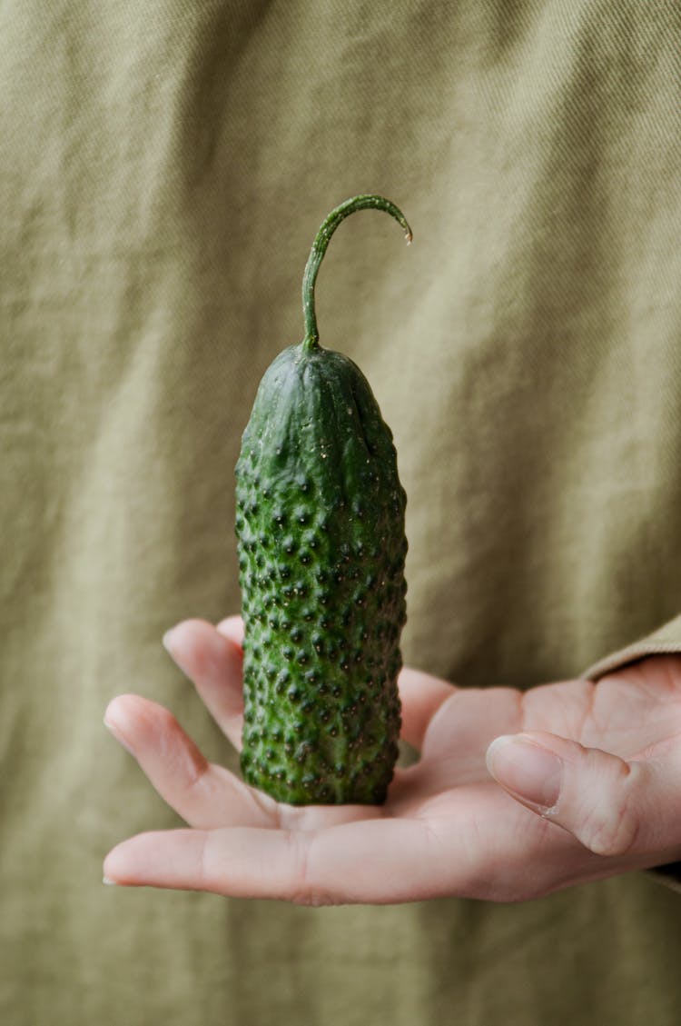 Hand Holding A Cucumber 