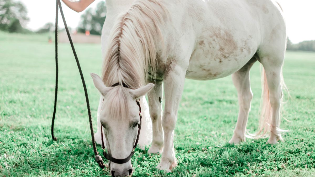 How to Enter Travel Sweepstakes in Lexington, Kentucky Without Scams