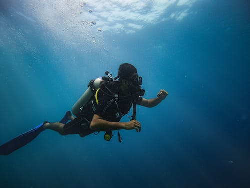 Fotos de stock gratuitas de agua, aletas, arrecife