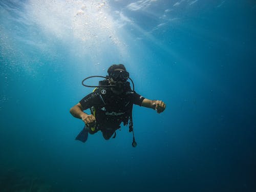 Fotos de stock gratuitas de buceo, edición de fotos, fotografía submarina