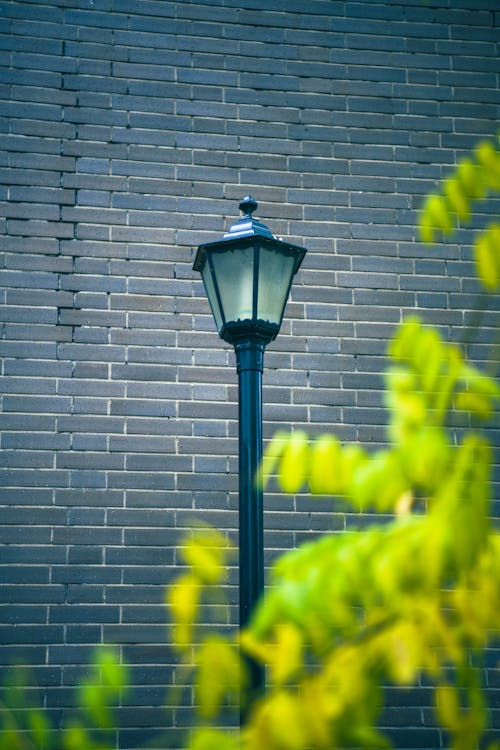 Black Street Lamp Near Green Plant
