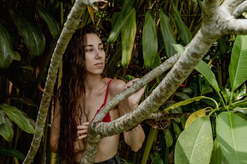 Woman in Red Tank Top Holding Green Leaf