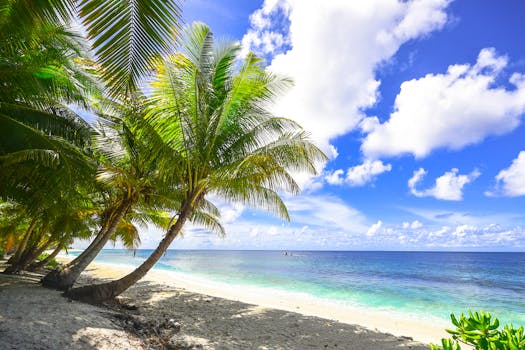 Serene ocean view with palm trees and clear skies at Fuvahmulah, Maldives.