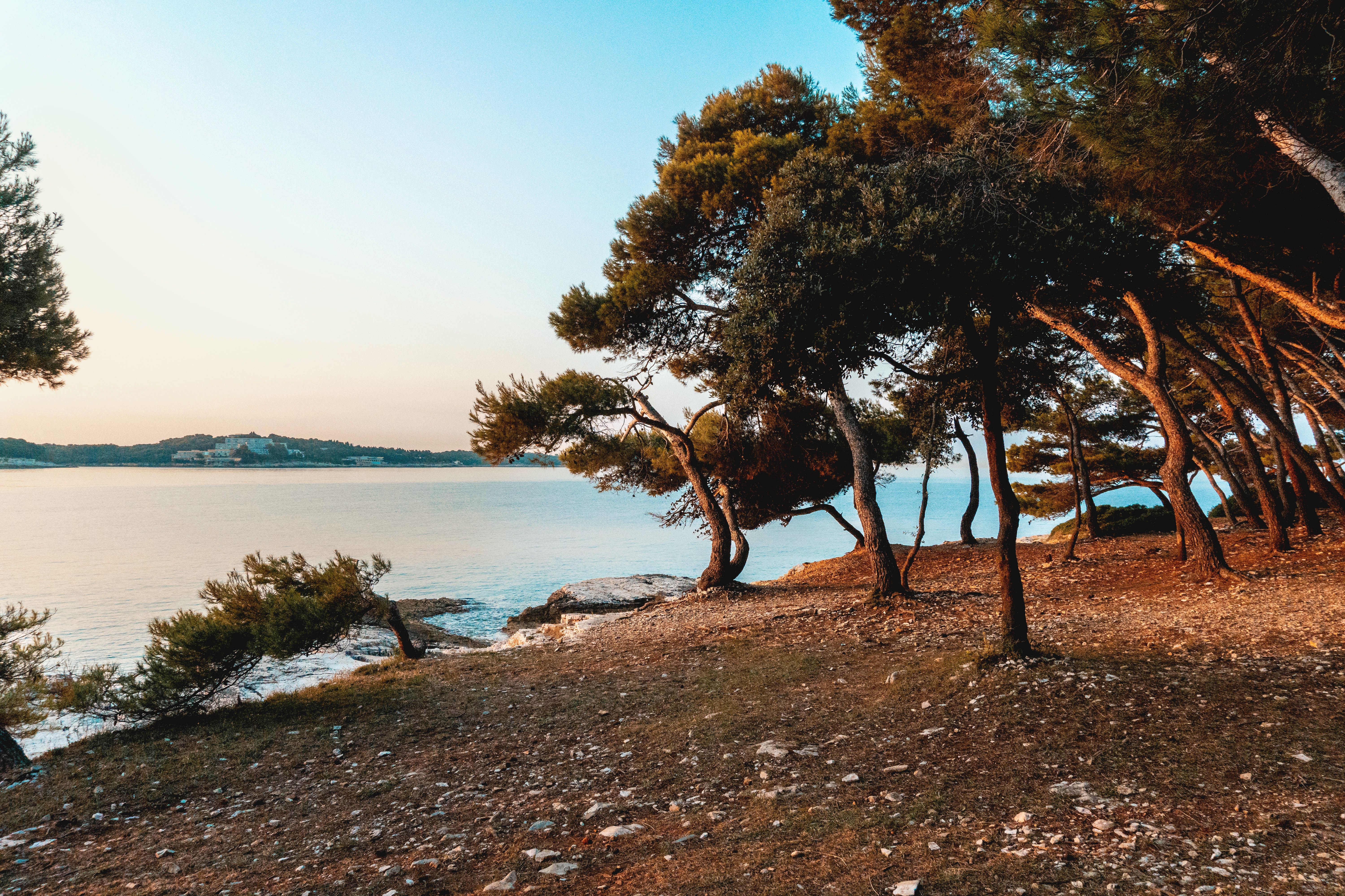 Plaże Veliki Brijun