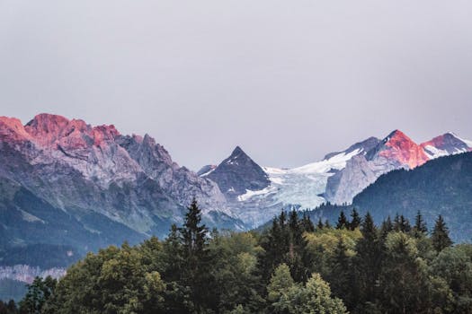 白雪皑皑的山峰在郁郁葱葱的绿色森林之上，闪烁着日出的色彩，令人惊叹