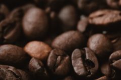 A detailed close-up of roasted Arabica coffee beans, showcasing rich texture and color.