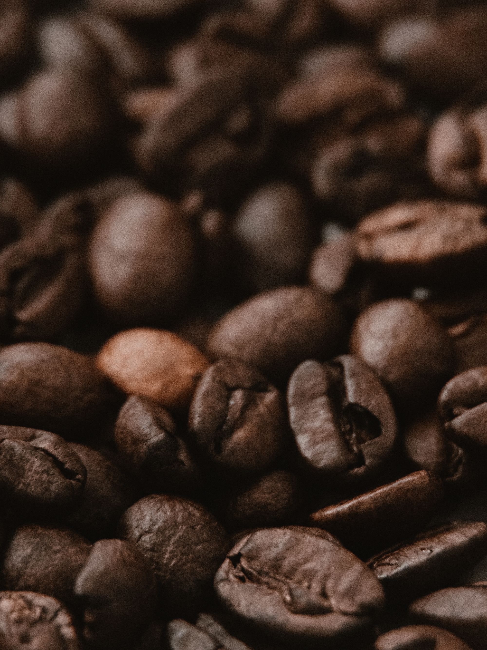 Roasted coffee beans, one of the base raw materials for Beyond Lohas premix