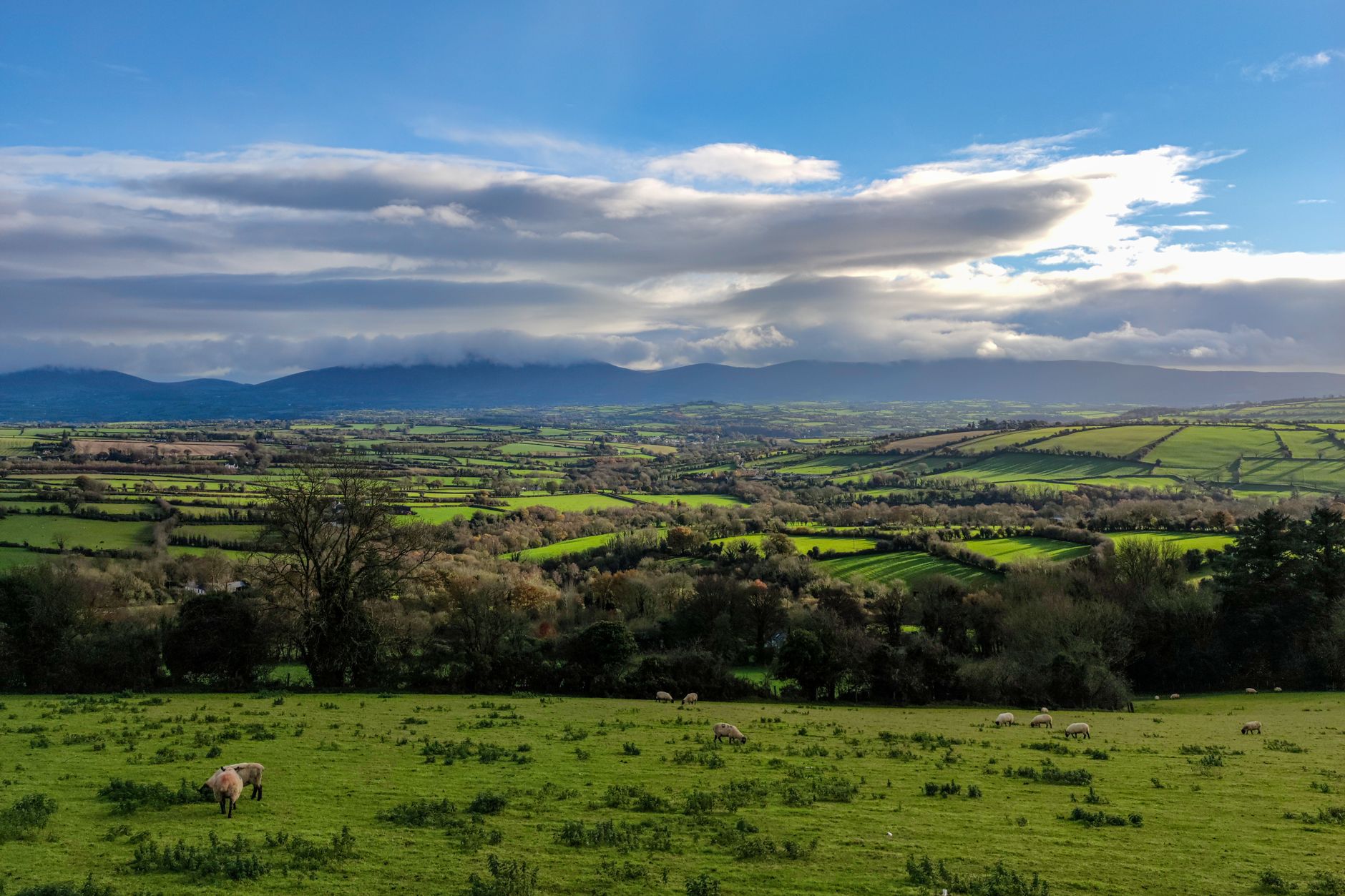 Explore the lush green fields and distant mountains of Graiguenamanagh, Ireland.