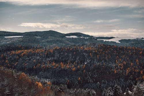 丘陵, 冬季, 景觀 的 免费素材图片