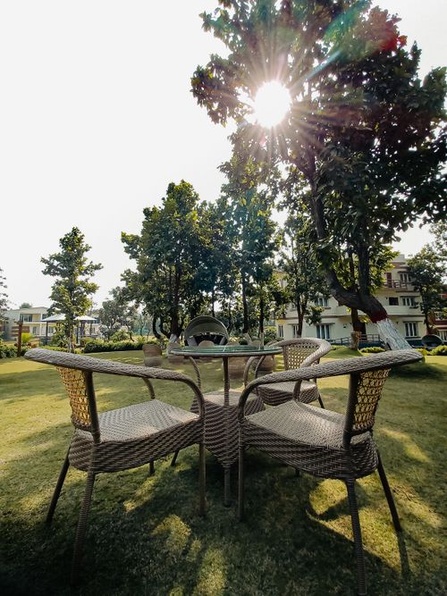 Free Outdoor wicker furniture set surrounded by lush greenery under bright sunlight in a garden. Stock Photo