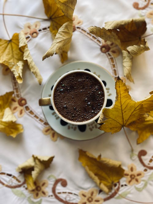 A Hot Chocolate on Cup and Saucer 