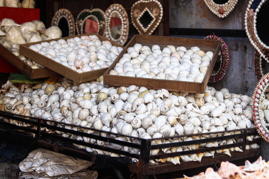 Biodegradable Materials for Eco-Conscious Artists