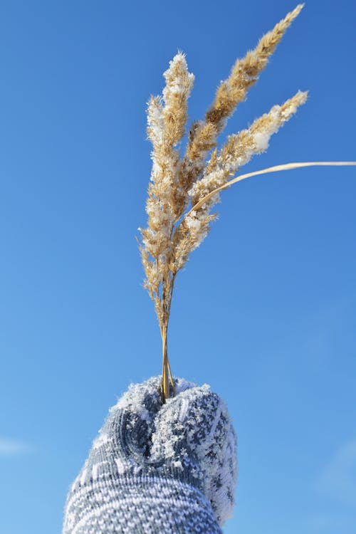 Photos gratuites de ciel bleu, conceptuel, gants