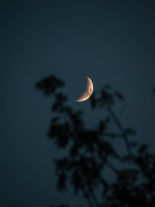 Free Photo of the Moon Stock Photo