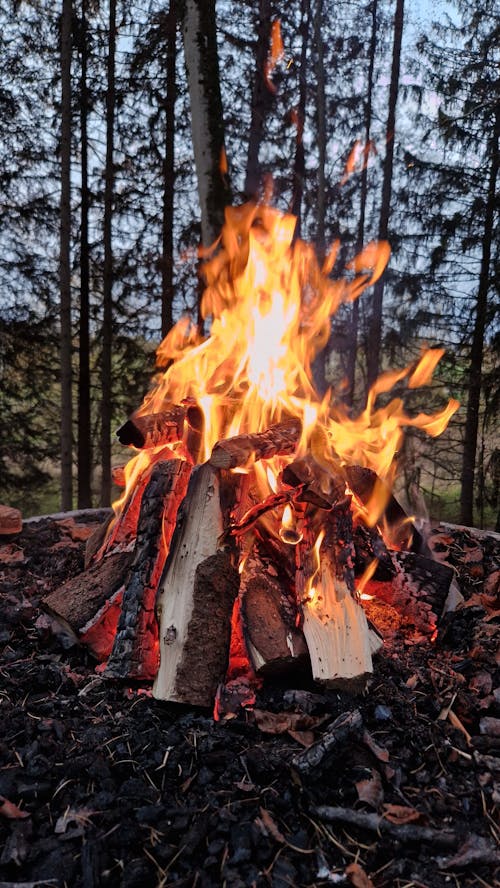キャンプファイヤー, たき火, ホットの無料の写真素材