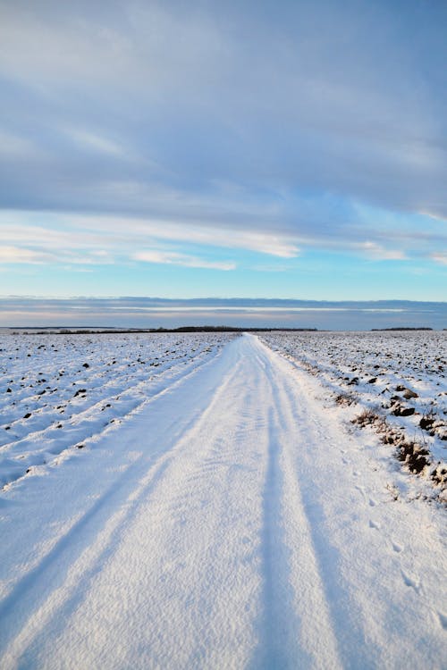 Snow Covered Field Under Cloudy Sky