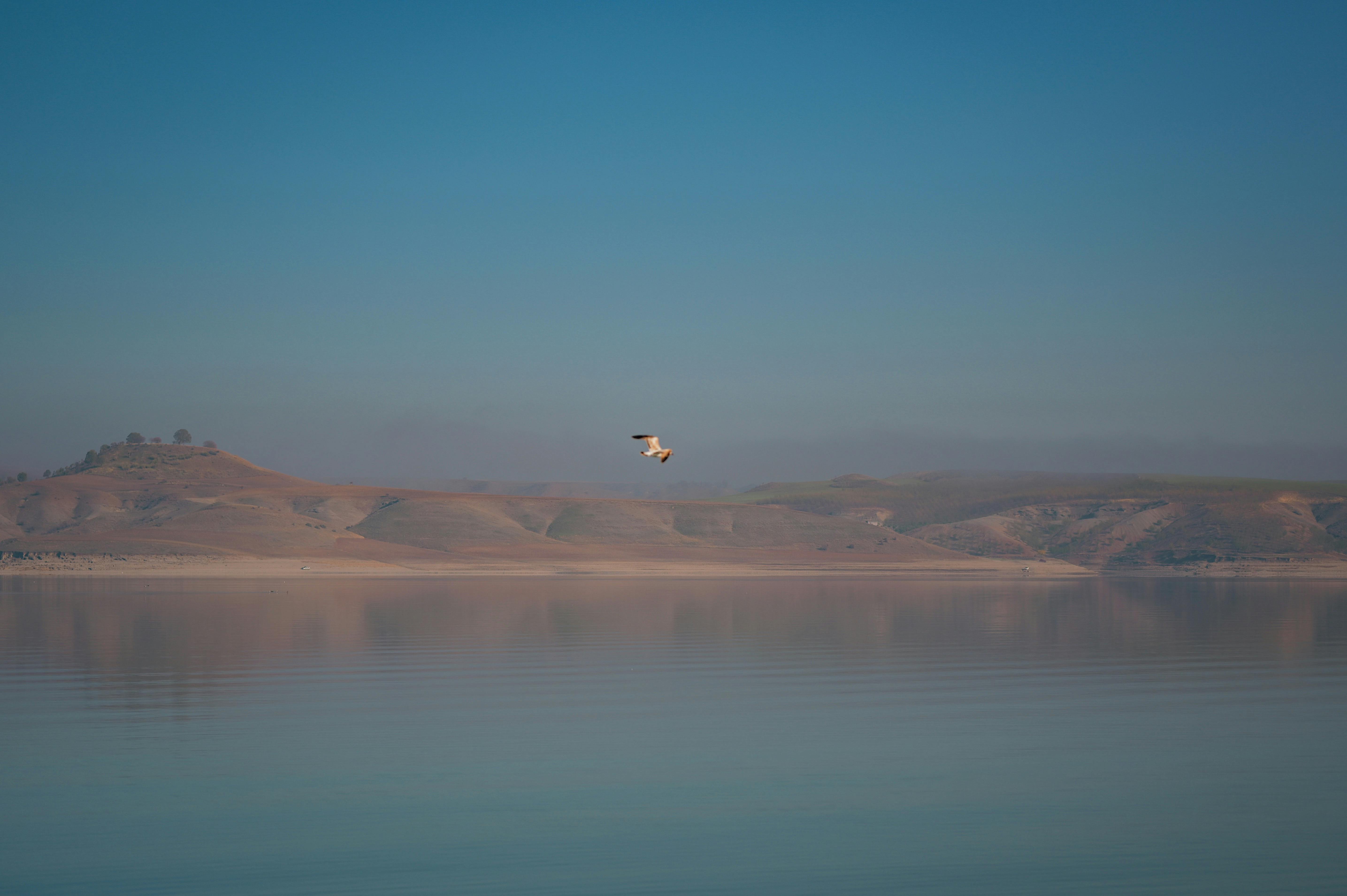 Drukke marktscène waar anti-diefstalmaatregelen nuttig zijn