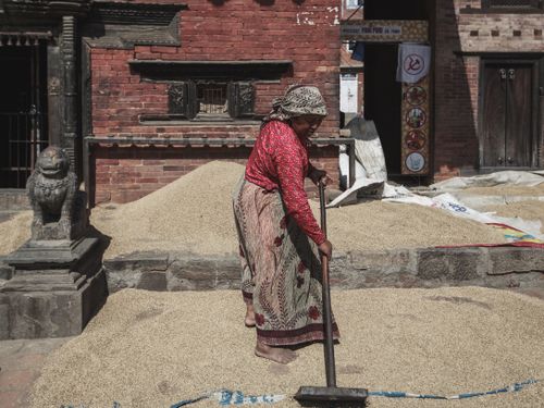 Free A woman in traditional attire spreading grains on an urban street in a historic town setting. Stock Photo