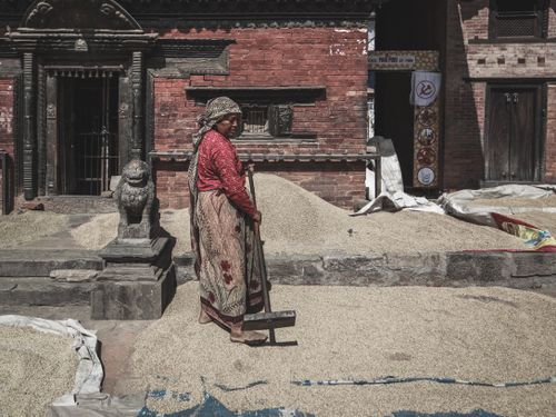 Free A woman drying grain in a traditional Nepalese village setting with historic architecture. Stock Photo