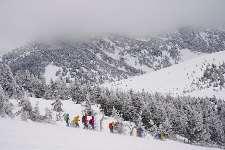 People Hiking In Aomori, Japan