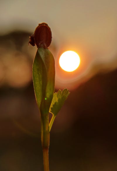 Lao People`s Democratic Republic