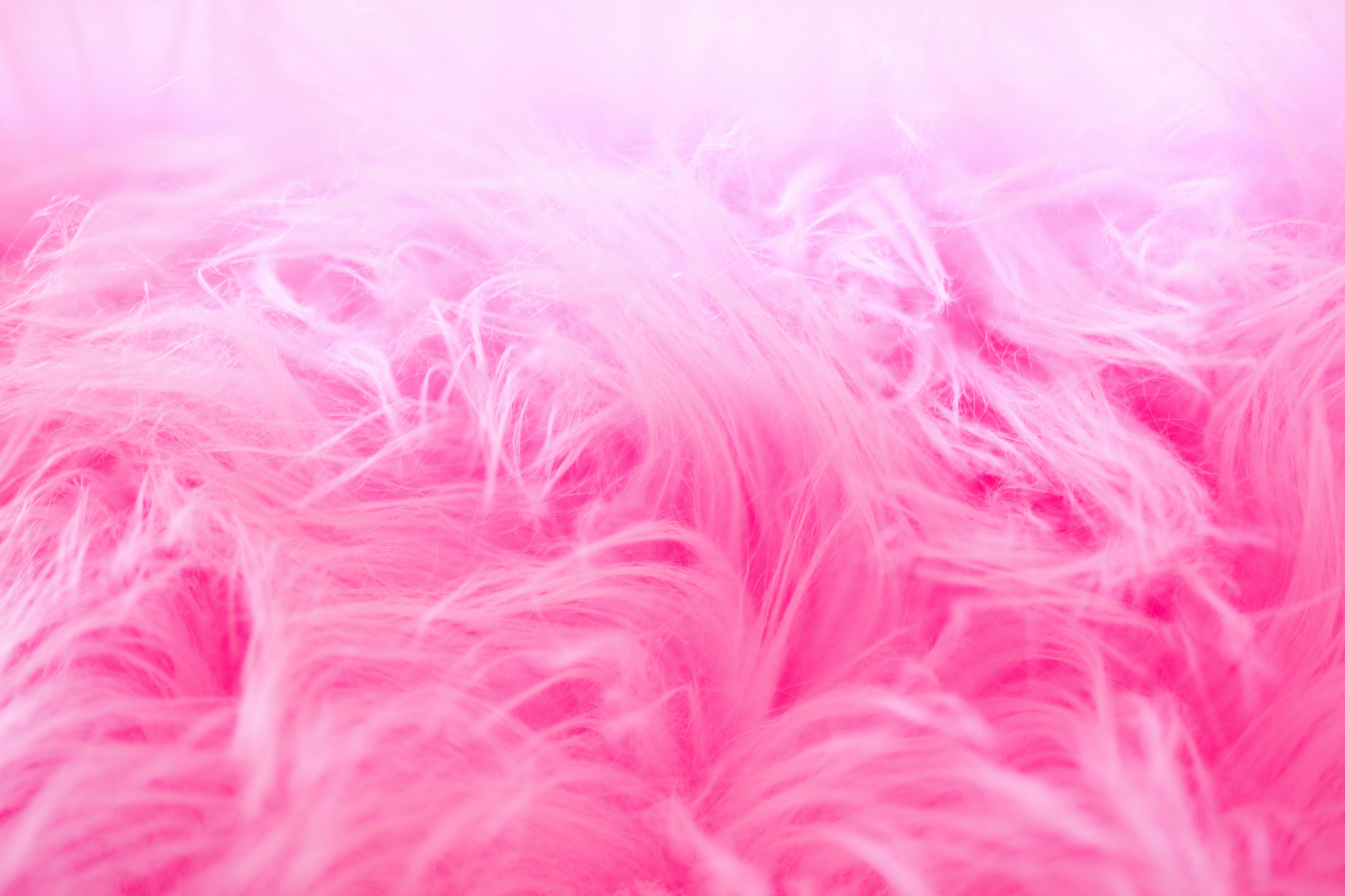 Pink Fur Closeup Photography Free Stock Photo