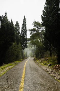 A tranquil road leading through the wooded countryside of Montenegro on a misty day.