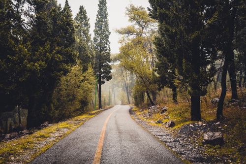 Free Peaceful empty road surrounded by lush forest in Podgorica, Montenegro on a misty day. Stock Photo
